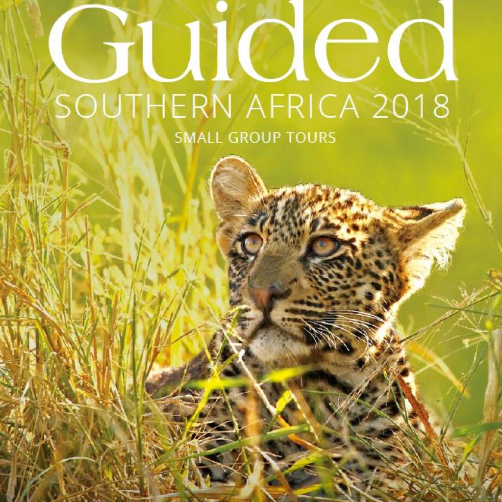 springbok atlas guided tours