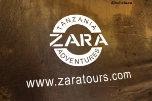 zara tours photos