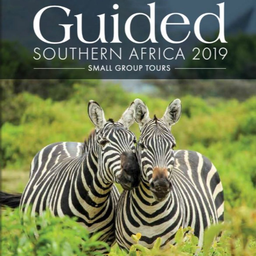 springbok atlas guided tours