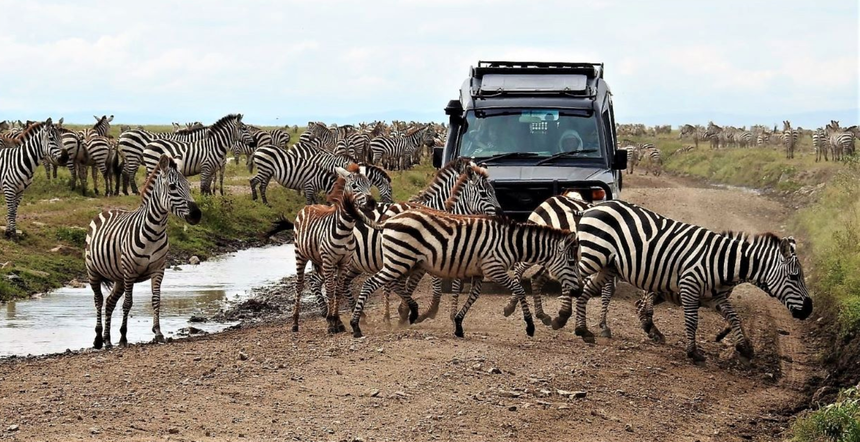 Screen-Shot-2021-11-02-at-1.56.56-PM