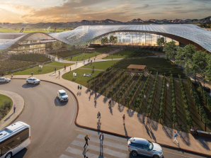 Winelands Airport Faces Final Appeal Hurdle