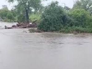 Heavy Flooding Impacts Kruger Camps and Roads